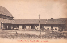 IGNY (Essonne) - Ecole Saint-Nicolas - La Porcherie - Cochons - Igny