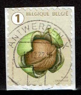 België / Belgique / Belgium / Belgien Zomereik 2021(OBP 5024 ) - Gebraucht