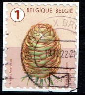 België / Belgique / Belgium / Belgien Japanse Lork 2021 (OBP 5021 ) - Gebruikt