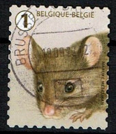 Huismuis Uit 2020 (OBP 4959 ) - Used Stamps