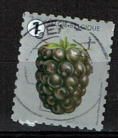 Braambes Uit 2018 (OBP 4808 ) - Used Stamps