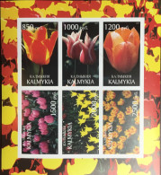 Russia Kalmykia 2001 Tulips Flowers Sheetlet MNH - Altri & Non Classificati