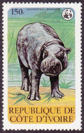 T.-P. Gommé Dentelé Neuf** - Hippopotame Pygmée Africain (Choeropsis Liberiensis) - N° 520 (Yvert Et Tellier) - RCI 1979 - Côte D'Ivoire (1960-...)