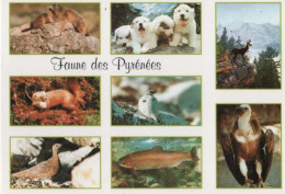 99238 - Frankreich - Pyrenäen - Faune - Ca. 2000 - Other