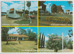 Australia QUEENSLAND QLD Bjelke Petersen Peanuts KINGAROY ICP No.5136 Multiview Postcard C1970s - Altri & Non Classificati