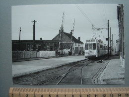 Photo Cliché J. BAZIN - Boussu Bois - Station - Tram Tramway - Ligne 8 - Boussu