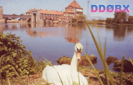 AK 208277 QSL - Germany - Dörverden - Radio Amateur