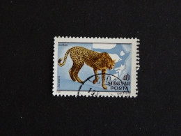 HONGRIE HUNGARY MAGYAR YT PA 436 OBLITERE - ZOOLOGISTE KALMAN KITTENBERGER / GUEPARD - Used Stamps