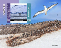 Guinea Bissau 2021, Animals Antartic, Whale, Penguin, Birds, BF - Pingueinos