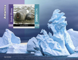 Guinea Bissau 2021, Animals Antartic, Seal, BF - Other & Unclassified