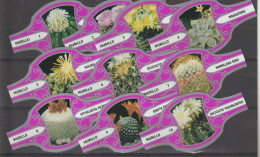 Reeks   861  Cactussen 1-10    ,10  Stuks Compleet   , Sigarenbanden Vitolas , Etiquette - Vitolas (Anillas De Puros)