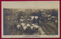 SERBIA WWI, EVACUATION OF THE POPULATION FROM VELIKI POPOVIĆ, PICTURE POSTCARD RARE!!!!!!!!!!! - Serbie