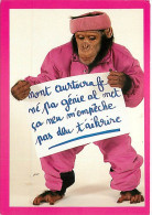 Animaux - Singes - Chimpanzé - Animaux Humanisés - Carte à Message - CPM - Voir Scans Recto-Verso - Singes