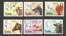 Caribbean 1975 Year , Used Stamps Animals - Oblitérés