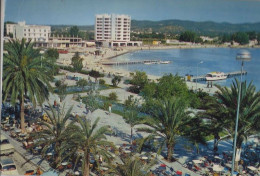 32732 - Spanien - San Antonio Abad - Paseo De Las Palmeras - 1973 - Ibiza