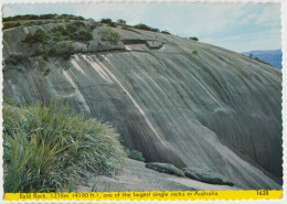 Australia QUEENSLAND QLD Bald Rock GIRRAWEEN NATIONAL PARK Samuel Lee No.1628 Postcard C1970s - Other & Unclassified