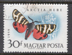 Hungary 1959 Single Stamp Celebrating Butterflies In Fine Used - Gebraucht