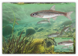 Portugal & Maximum Card, CEPT Europa, Endangered Species, Saramugo, Anaecypris Hispanica 2021 (77686) 2021 (77686) - Maximum Cards & Covers