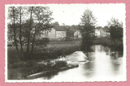 67 - DIEMERINGEN - Carte Photo - Rivière EICHEL - Partie Du Village - 3 Scans - Diemeringen