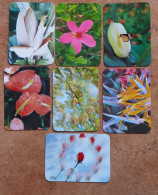 7 Calendriers De Poche Fleurs. Portugal 1985 - Small : 1981-90