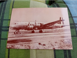 AEREO ALITALIA  DOUGLAS DC - 6B - 1946-....: Era Moderna