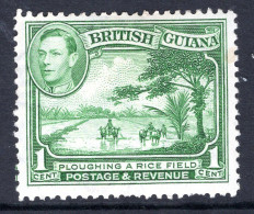 British Guiana 1938-52 KGVI Pictorials - 1c Ploughing A Rice Field - P.12½ - Yellow-green HM (SG 308) - British Guiana (...-1966)