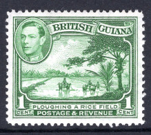 British Guiana 1938-52 KGVI Pictorials - 1c Ploughing A Rice Field - P.12½ - Green HM (SG 308a) - Guyana Britannica (...-1966)