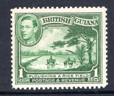 British Guiana 1938-52 KGVI Pictorials - 1c Ploughing A Rice Field - P.12½ - Green HM (SG 308a) - Brits-Guiana (...-1966)