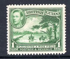 British Guiana 1938-52 KGVI Pictorials - 1c Ploughing A Rice Field - P.12½ - Green HM (SG 308a) - Guyana Britannica (...-1966)