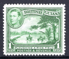 British Guiana 1938-52 KGVI Pictorials - 1c Ploughing A Rice Field - P.12½ - Green HM (SG 308a) - Britisch-Guayana (...-1966)