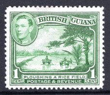 British Guiana 1938-52 KGVI Pictorials - 1c Ploughing A Rice Field - P.12½ - Green HM (SG 308a) - Guyana Britannica (...-1966)
