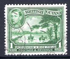 British Guiana 1938-52 KGVI Pictorials - 1c Ploughing A Rice Field - P.12½ - Green Used (SG 308a) - Brits-Guiana (...-1966)