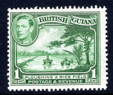 British Guiana 1938-52 KGVI Pictorials - 1c Ploughing A Rice Field - P.14 X 13 HM (SG 308b) - Guayana Británica (...-1966)