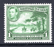 British Guiana 1938-52 KGVI Pictorials - 1c Ploughing A Rice Field - P.14 X 13 HM (SG 308b) - Guayana Británica (...-1966)