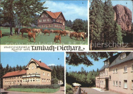 72261054 Dietharz Tambach Berghotel Ebertswiese Falkenstein Rodebachmuehle HOG W - Tambach-Dietharz