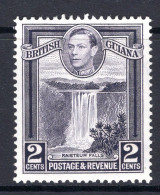 British Guiana 1938-52 KGVI Pictorials - 2c Kaieteur Falls - P.13 X 14 HM (SG 309a) - Brits-Guiana (...-1966)