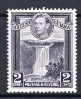 British Guiana 1938-52 KGVI Pictorials - 2c Kaieteur Falls - P.13 X 14 HM (SG 309a) - Guyana Britannica (...-1966)