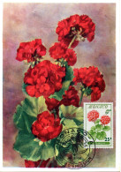 FLEUR + GERANIUM = MONACO 1959 = CARTE MAXIMUM JOUR D' EMISSION + N° Yvert  518 - Altri & Non Classificati