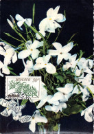 FLEUR + JASMIN = MONACO 1959 = CARTE MAXIMUM JOUR D' EMISSION + N° Yvert  520 - Altri & Non Classificati