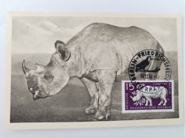 Tierpark Berlin-Friedrichfelde, Nashorn, Sondermarke, Sonderstempel, DDR, 1956 - Hohenschoenhausen