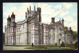 ROYAUME UNI - PAYS DE GALLES - ABERAVON - Margam Castle - Other & Unclassified