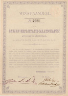 Batjan-Exploitatie-Maatschappij, Winst-Aandeel, Rotterdam, 3 Mei 1892 Indonesia - Agricultura