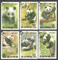 548 Korea Ours Bear Bar Panda Orso Oso (KON-129) - Orsi