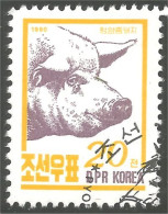 548 Korea Cochon Pig Schwein Cerdo Maiale Varken Porvo (KON-81) - Ferme