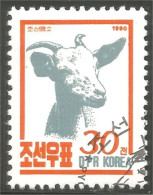 548 Korea Chèvre Goat Capra Cabra Geit Ziege (KON-78) - Ferme