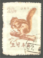 548 Korea Ecureuil Squirrel Ardilla Eichhörnchen Scoiattolo Esquilo Eekhoorn (KON-49) - Nager