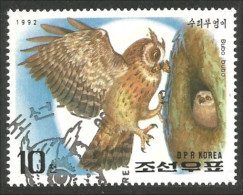 548 Korea Hibou Chouette Owl Eule Gufo Uil Buho (KON-48a) - Uilen