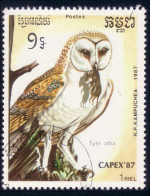 534 Cambodge Hibou Chouette Owl Eule (KAM-175) - Hiboux & Chouettes