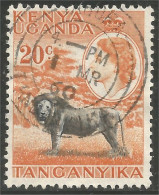 554 Kenya Lion Lowe Leone (KUT-55a) - Kenya, Ouganda & Tanganyika