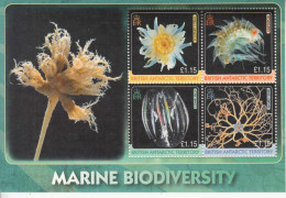 2010 British Antarctic Territory Marine Life Biodiversity  Miniature Sheet Of 4 MNH - Neufs